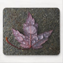 Search for raindrops mousepads Leaf