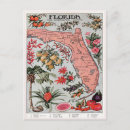Search for everglade state postcards Vintage