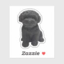 Search for goldendoodle puppy stickers Poodle