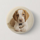 Search for coloured background badges Photography