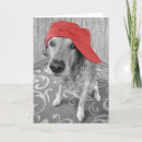 Search for thinks cards Dog