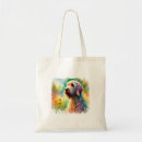 Search for spinone Animals