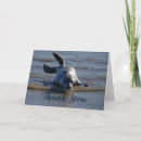 Search for baby seals cards For kids