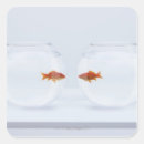 Search for separation stickers Animal