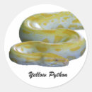 Search for python stickers Wildlife