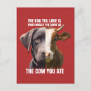 Search for love vegan postcards Compassion