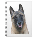 Search for belgian notebooks Malinois