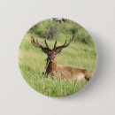Search for stag badges Antlers