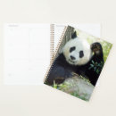 Search for resting office supplies Wildlife