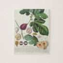 Search for fig puzzles Fruit