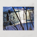 Search for january postcards Winter