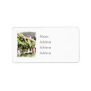 Search for wisteria return address labels Watercolor