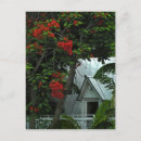 Search for red key postcards Florida