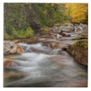 Search for new hampshire coasters Foliage