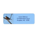 Search for robin return address labels Snow