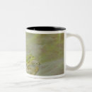 Search for lotus flower mugs Asia