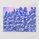 Search for conifer postcards Blue