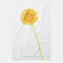Search for gerbera daisies Cheerful