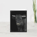 Search for bovines cards Steer
