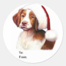 Search for brittany dog stickers Brittanies