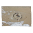 Search for shell pillowcases Sea