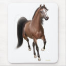 Search for arabian horses electronics Riding