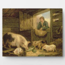 Search for sty Farmyard