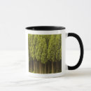 Search for cedar tree mugs Forest