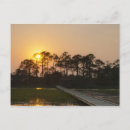Search for walking horizontal postcards Sunset