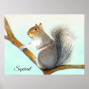 Search for squirrel posters Wild animal