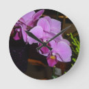 Search for horticulture photography Nature