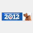 Search for mitt bumper stickers Dog