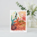 Search for vintage great barrier reef postcards Retro