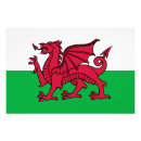 Search for welsh posters Dragon