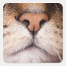 Search for body image stickers Animal body part