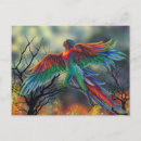 Search for amazon postcards Environment