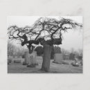 Search for graves postcards Dead