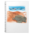 Search for turtle notebooks Colourful