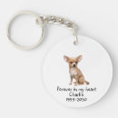 Search for dog loss sympathy key rings Pet