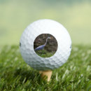 Search for ball photography Animal
