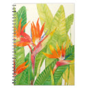 Search for birds notebooks Tropical