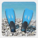 Search for fin stickers Diving