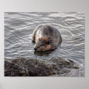 Search for beavers art Rodent