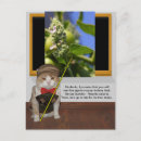 Search for funny cat postcards Kitty
