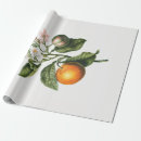 Search for orange blossom wrapping paper Tree