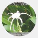 Search for lilly stickers Flower