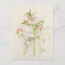 Search for hellebore postcards Botanical