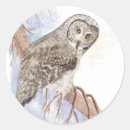 Search for grey owl stickers Nature