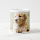 Search for golden retriever puppy mugs Pet
