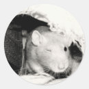 Search for fancy rat stickers Pets
